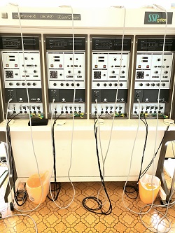 rro